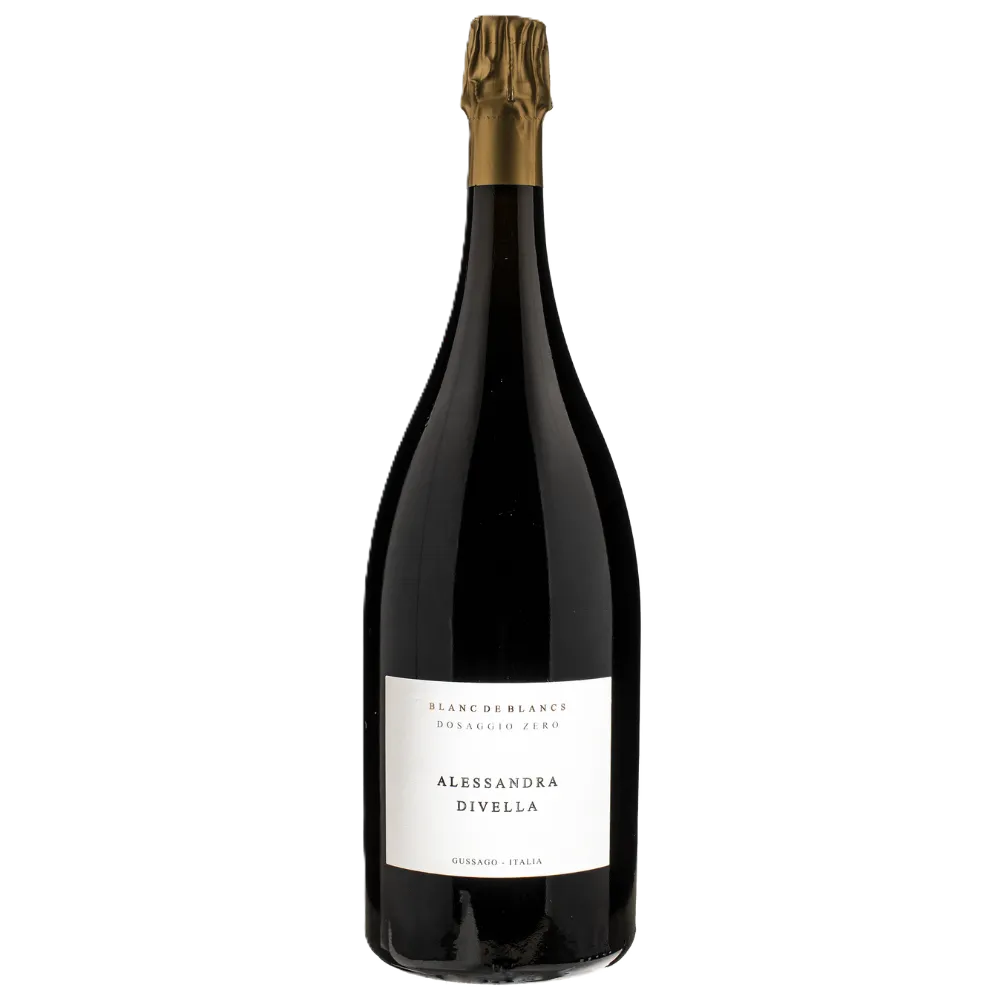 Untitled design (5).webp