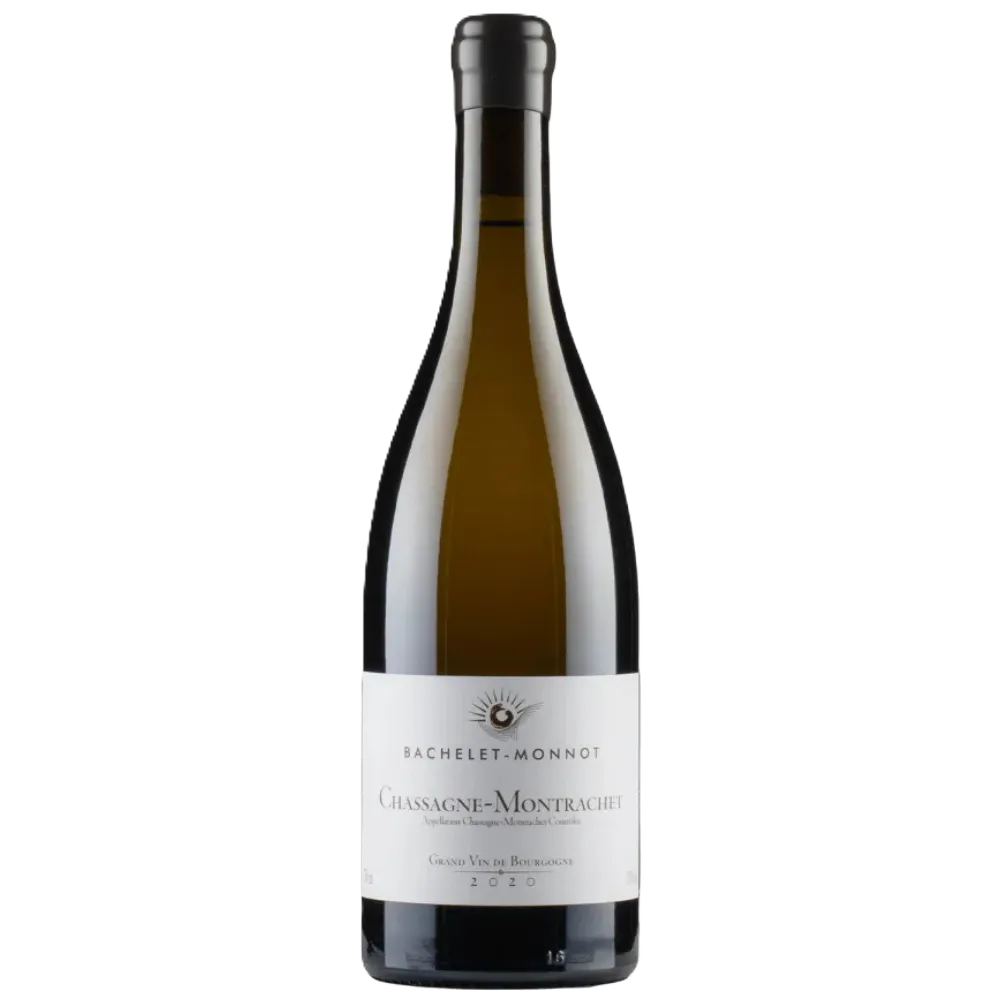 Untitled design (6).webp