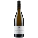 Untitled design (6).webp