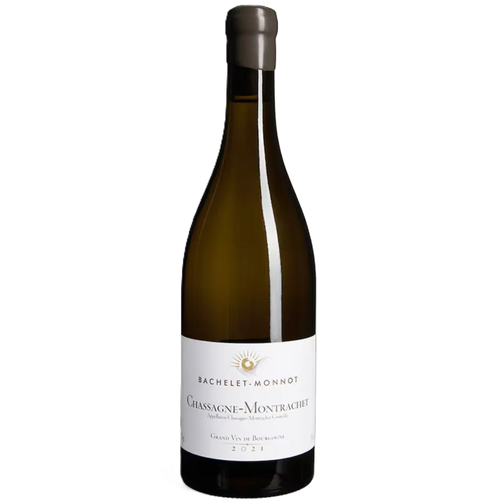 Untitled design (7).webp