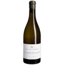 Untitled design (7).webp