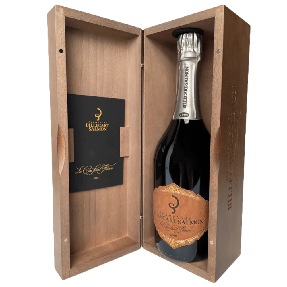 Untitled design (10).webp