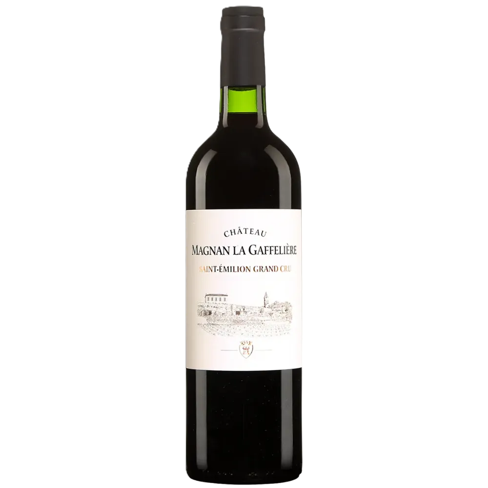 Untitled design (16).webp