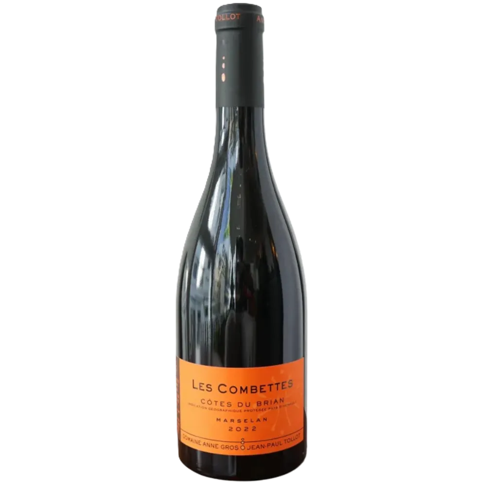 Untitled design (19).webp