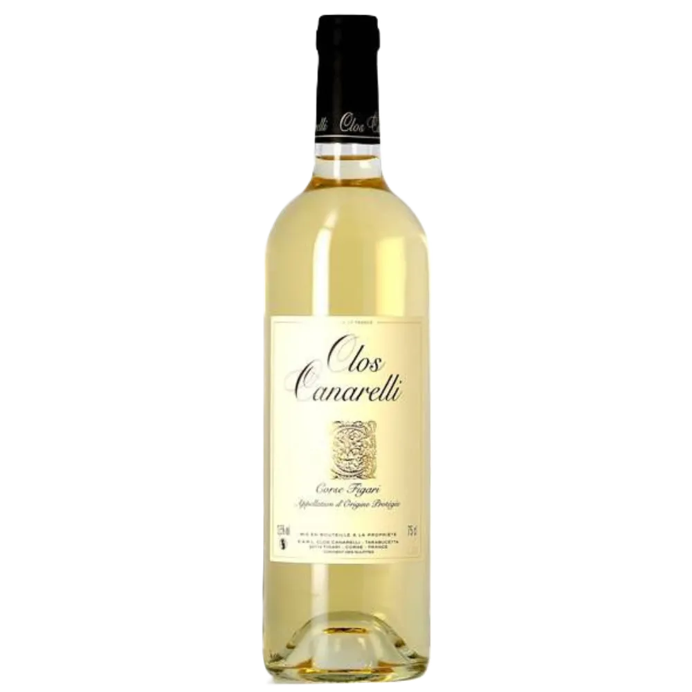 Untitled design (20).webp