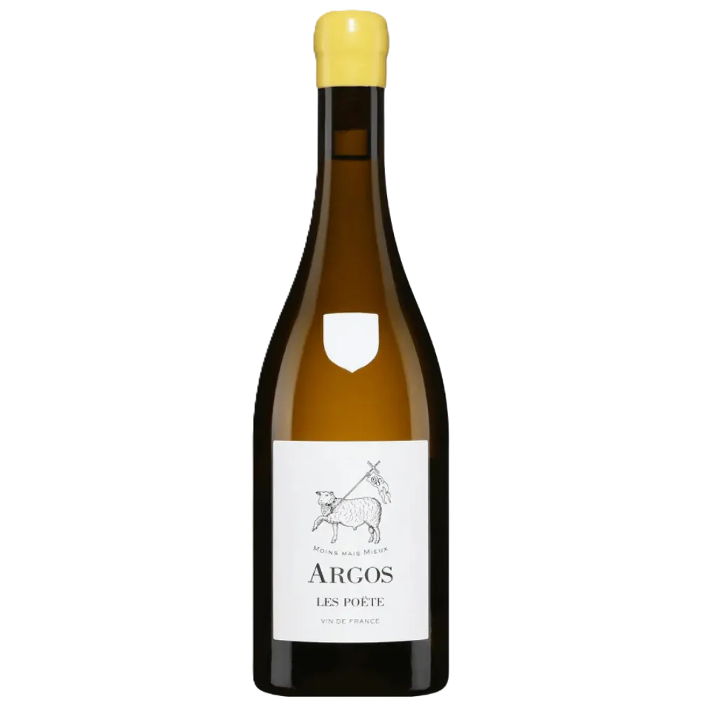 Untitled design (34).webp