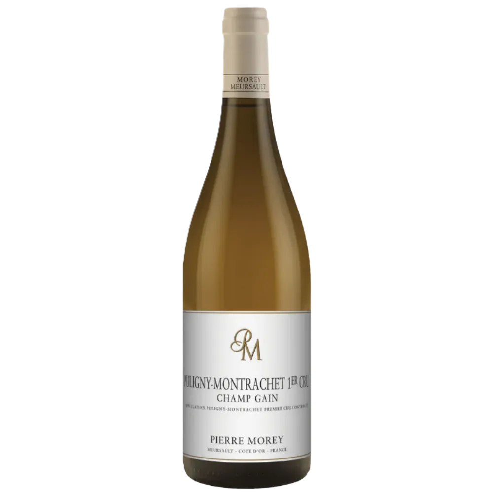 Untitled design (36).webp