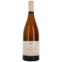 Untitled design (38).webp