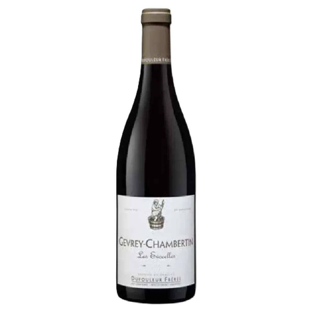 Untitled design (43).webp