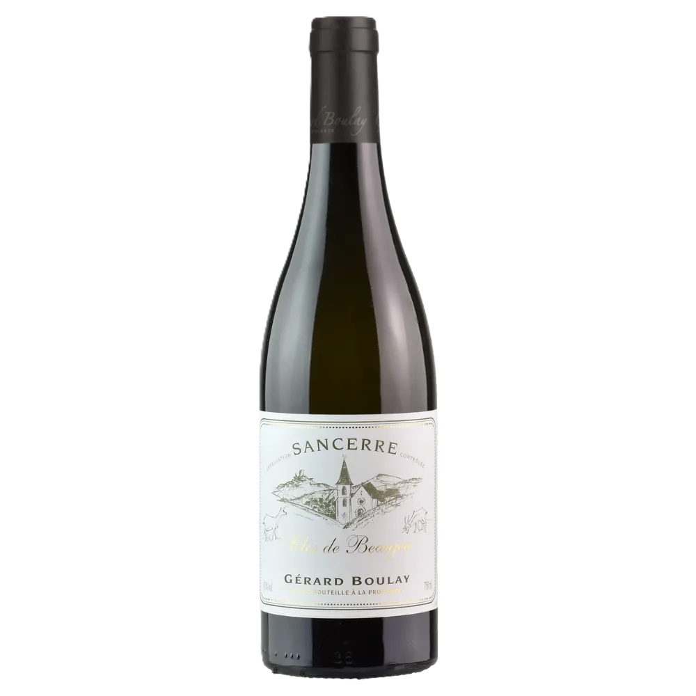 Untitled design (45).webp