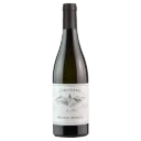 Untitled design (45).webp