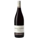 Untitled design (47).webp