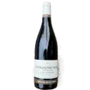 Untitled design (49).webp