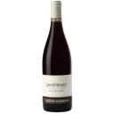 Untitled design (51).webp