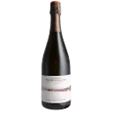 Untitled design (54).webp