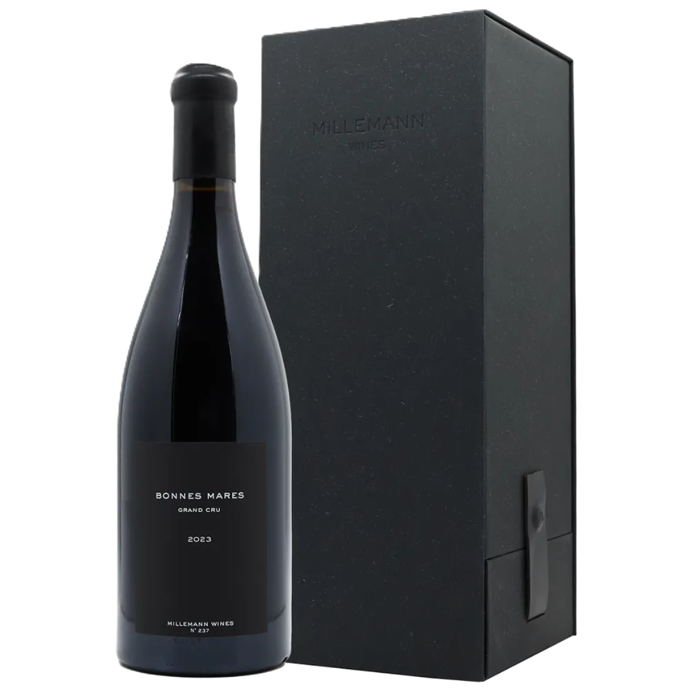 Untitled design (56).webp