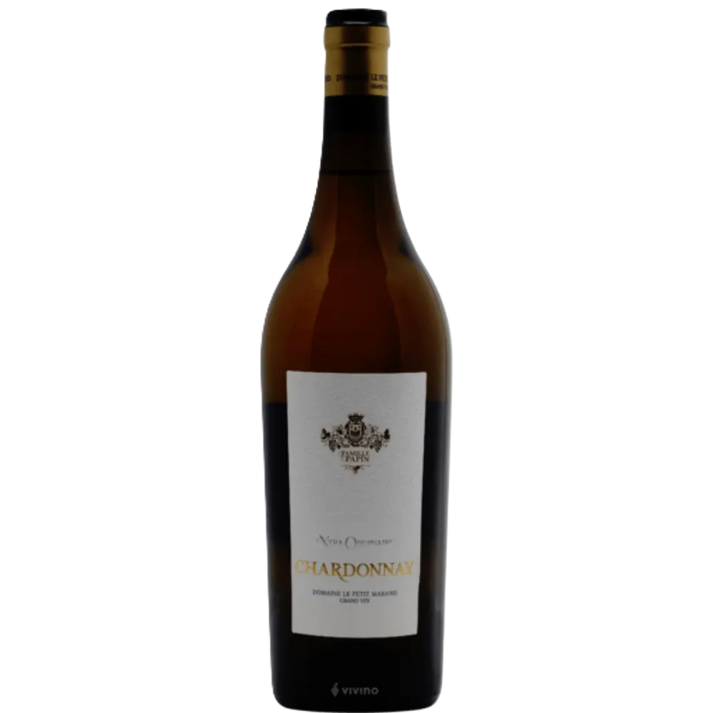 Untitled design (60).webp