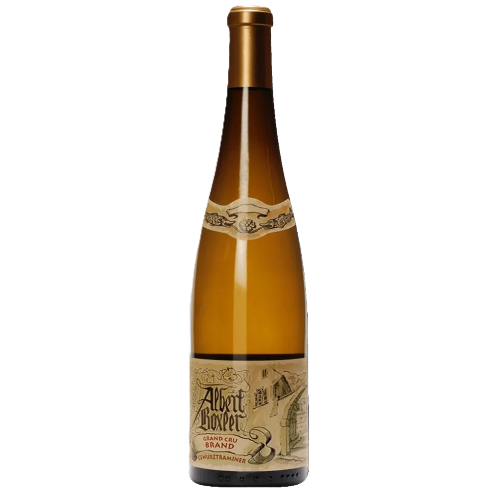 Untitled design.webp