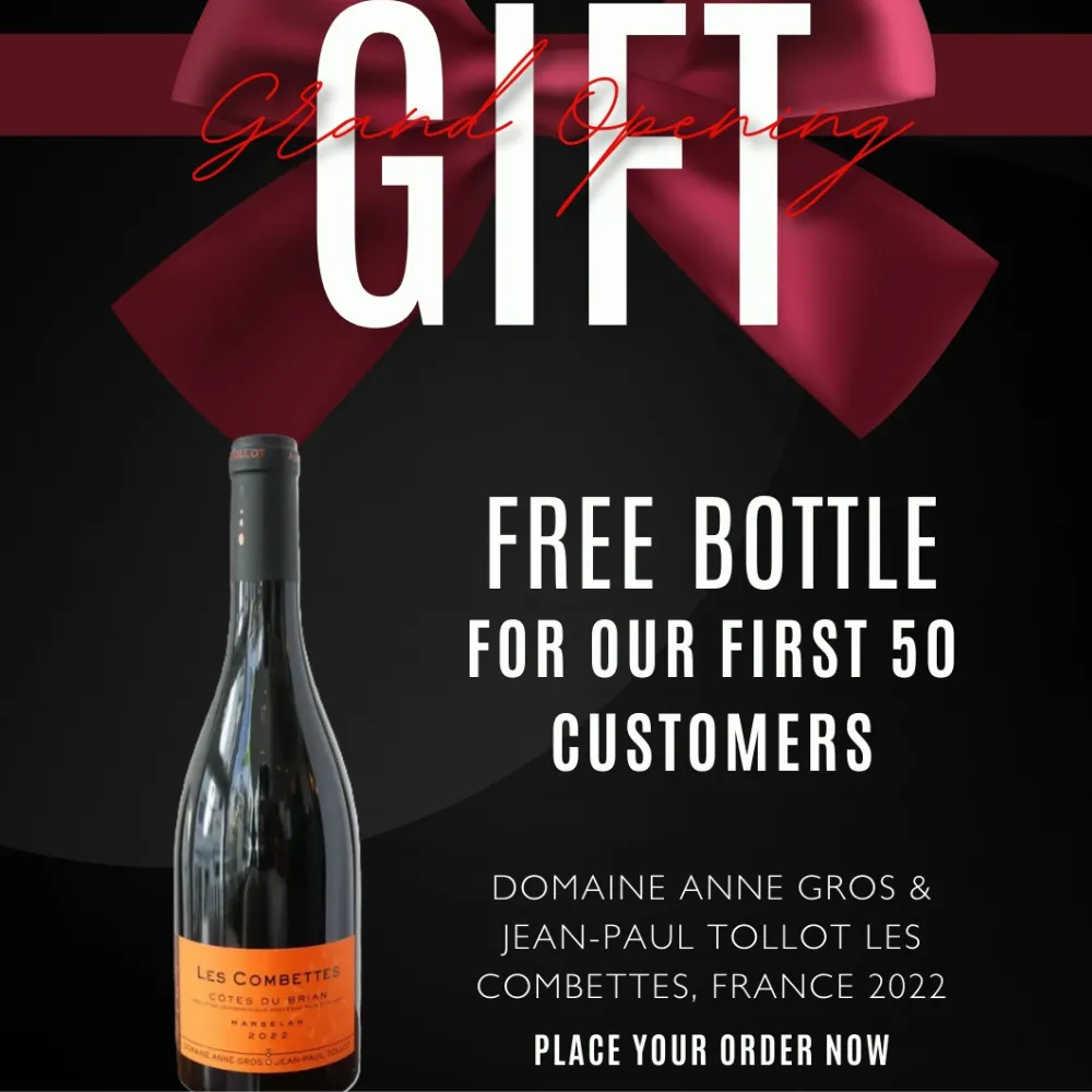 Untitled design (3).webp