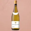 Alberto Orte Escalada Do Sil Blanco, Valdeorras, Spain 2022